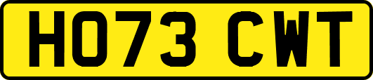 HO73CWT