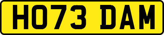 HO73DAM