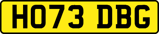 HO73DBG