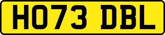 HO73DBL