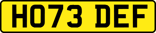 HO73DEF