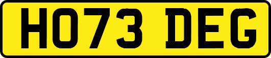 HO73DEG