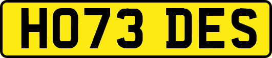 HO73DES