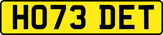 HO73DET