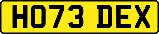 HO73DEX