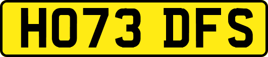 HO73DFS