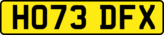 HO73DFX