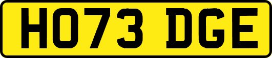 HO73DGE