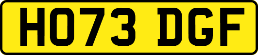 HO73DGF