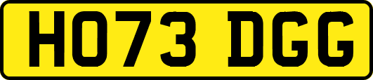 HO73DGG