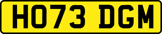 HO73DGM