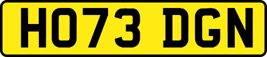 HO73DGN