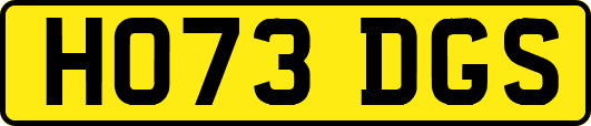 HO73DGS