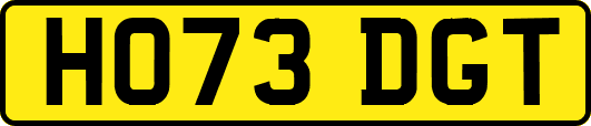 HO73DGT