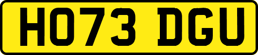 HO73DGU