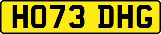 HO73DHG