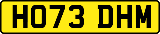HO73DHM