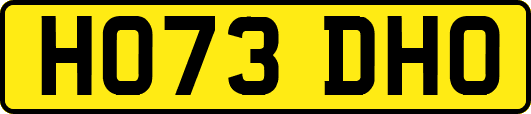 HO73DHO