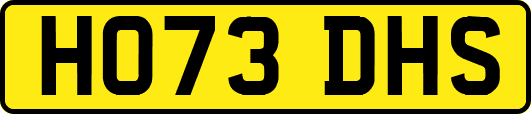HO73DHS