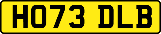 HO73DLB