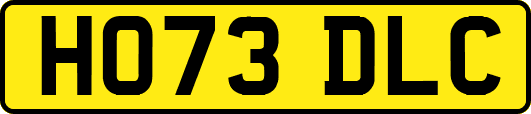 HO73DLC