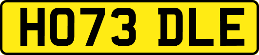 HO73DLE