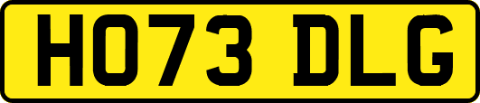 HO73DLG