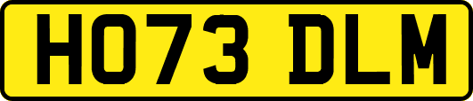 HO73DLM