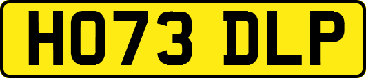 HO73DLP