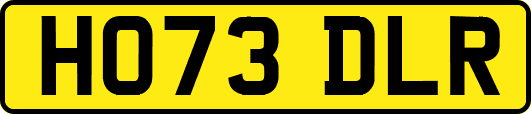 HO73DLR