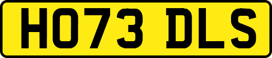 HO73DLS