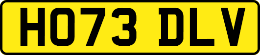 HO73DLV