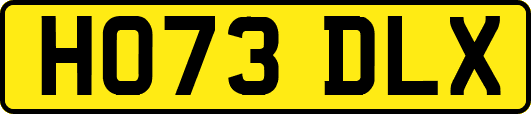 HO73DLX