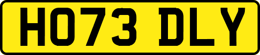 HO73DLY