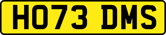 HO73DMS