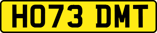 HO73DMT