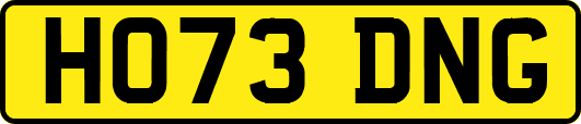 HO73DNG
