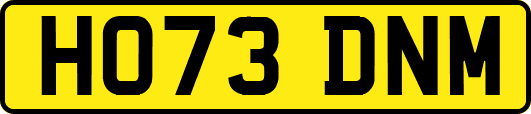 HO73DNM