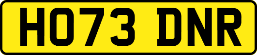 HO73DNR