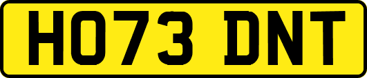HO73DNT