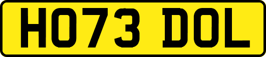HO73DOL