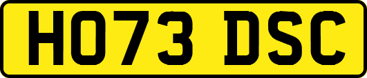 HO73DSC