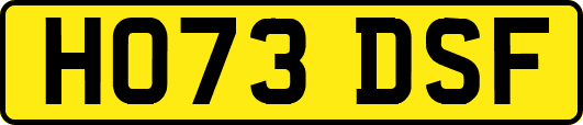 HO73DSF