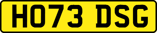 HO73DSG