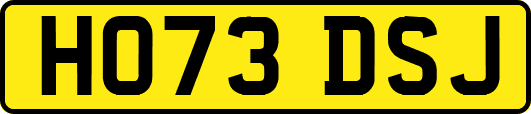 HO73DSJ
