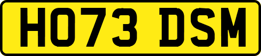 HO73DSM
