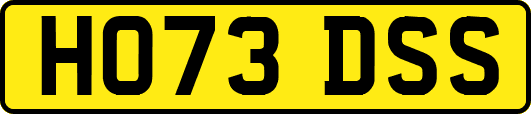 HO73DSS