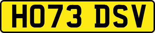 HO73DSV