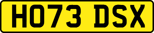 HO73DSX