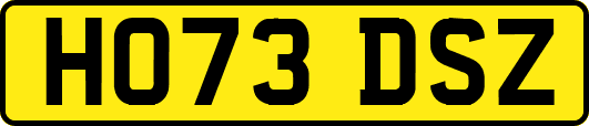 HO73DSZ